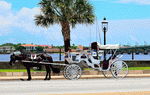 Horse And Carriage Download Jigsaw Puzzle