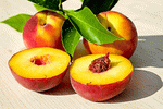 Peach Download Jigsaw Puzzle