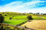 Yorkshire, England Download Jigsaw Puzzle