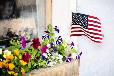 Flowers And Flag Download Jigsaw Puzzle