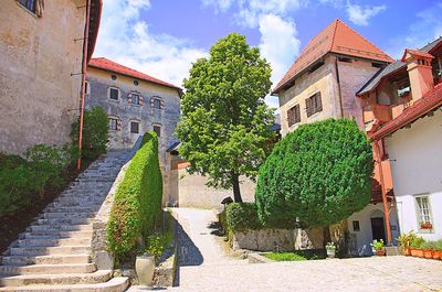 Castle, Slovenia Download Jigsaw Puzzle