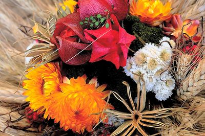 Dried Flowers Download Jigsaw Puzzle