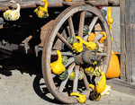 Autumn Decoration Download Jigsaw Puzzle