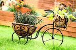 Bicycle Download Jigsaw Puzzle