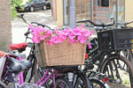 Bicycle With Flowers Download Jigsaw Puzzle