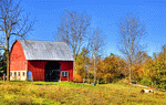 Rustic Barn, Ohio Download Jigsaw Puzzle