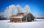 Winter Barn Download Jigsaw Puzzle