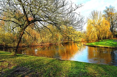Park Lake Download Jigsaw Puzzle
