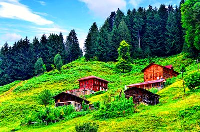Mountain Cabins, Turkey Download Jigsaw Puzzle