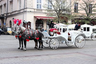 Carriage, Krakow Download Jigsaw Puzzle