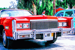 Caddy Download Jigsaw Puzzle