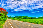 Highway, Thailand Download Jigsaw Puzzle