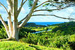 Ocean View Download Jigsaw Puzzle