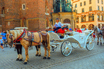 Carriage, Poland Download Jigsaw Puzzle