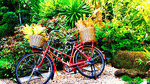 Bicycle, Thailand Download Jigsaw Puzzle