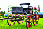 Wedding Carriage Download Jigsaw Puzzle