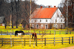 Farm, Latvia Download Jigsaw Puzzle