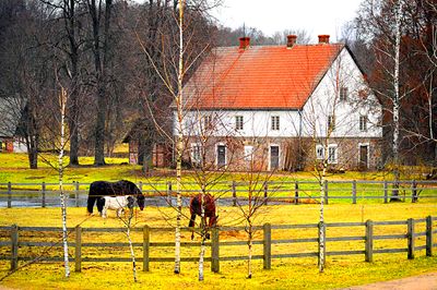 Farm, Latvia Download Jigsaw Puzzle