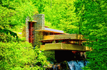Fallingwater Download Jigsaw Puzzle