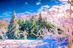 Winter Landscape Download Jigsaw Puzzle