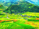 Valley, Vietnam Download Jigsaw Puzzle