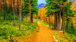 Mountain Path Download Jigsaw Puzzle