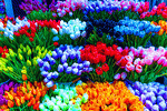 Flowers, Amsterdam Download Jigsaw Puzzle