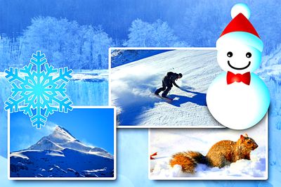 Winter Collage Download Jigsaw Puzzle
