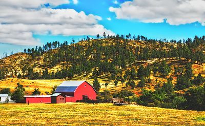 Barn, Wyoming Download Jigsaw Puzzle