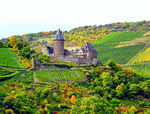 Vineyards, Germany Download Jigsaw Puzzle