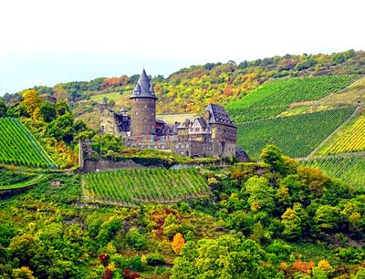 Vineyards, Germany Download Jigsaw Puzzle