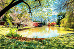 Botanical Garden Download Jigsaw Puzzle