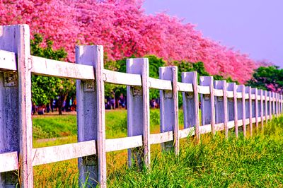 Fence, Thailand Download Jigsaw Puzzle