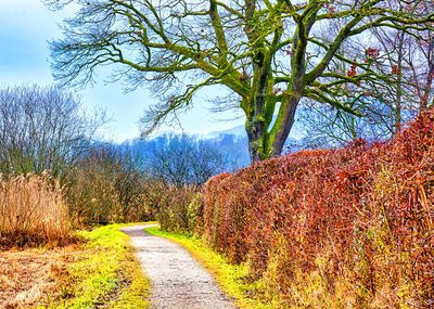 Path, Germany Download Jigsaw Puzzle