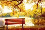 Autumn Lake Download Jigsaw Puzzle