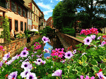 Flowers. Switzerland Download Jigsaw Puzzle