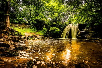 Waterfall, Yorkshire Download Jigsaw Puzzle