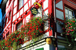 Flowers, Switzerland Download Jigsaw Puzzle