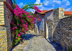 Flowers, Cyprus Download Jigsaw Puzzle