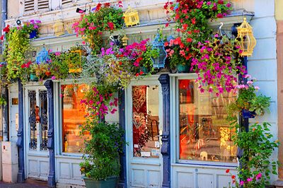 Flowers, France Download Jigsaw Puzzle