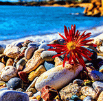 Seaside Rocks Download Jigsaw Puzzle