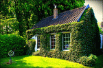 House, Holland Download Jigsaw Puzzle