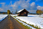 Winter Road Download Jigsaw Puzzle