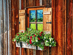 Download Jigsaw Puzzle
