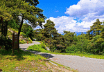 Mountain Road Download Jigsaw Puzzle