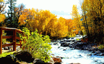 River, Colorado Download Jigsaw Puzzle