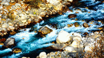 River, India Download Jigsaw Puzzle