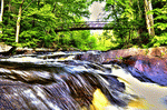 Forest Stream Download Jigsaw Puzzle