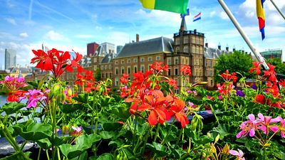 Flowers Download Jigsaw Puzzle