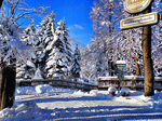 Winter Scene Download Jigsaw Puzzle